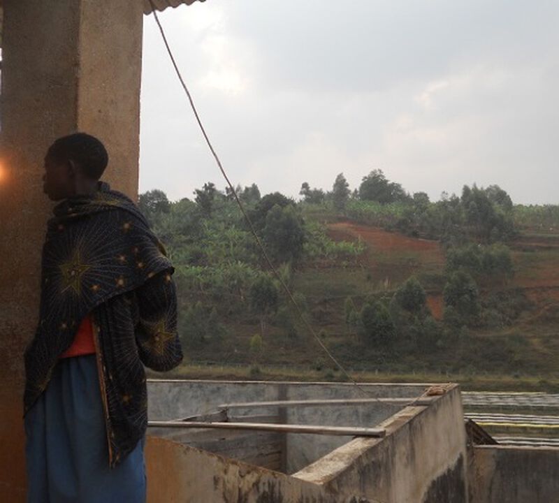 Environmentally friendly Kibingo coffee - Kayanza Region - Burundi - 1kg image number 2
