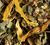 Dammann Fr&egrave;res Herbal Tea Tisane Fruits Exotiques - 100g image