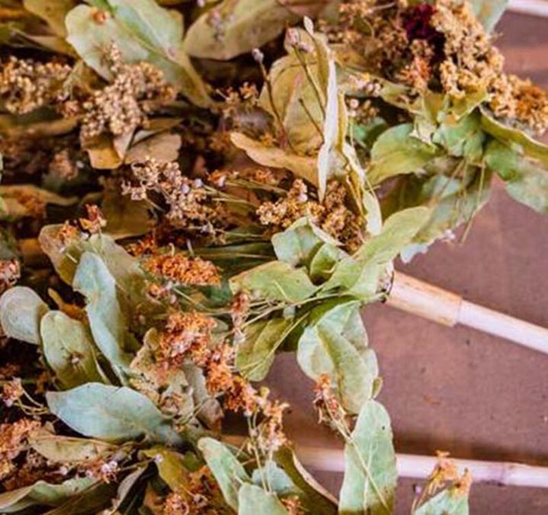 Horae Organic Flowering Tea Field Flowers x 2 image number 6