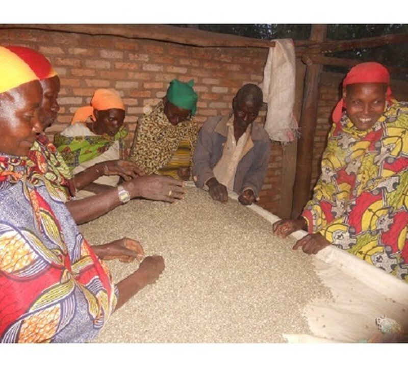 Environmentally friendly Kibingo coffee - Kayanza Region - Burundi - 1kg image number 4