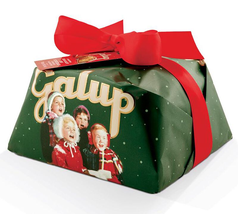 Galup - Panettone farcito al Pistacchio con gocce di cioccolato 900 g image number 0