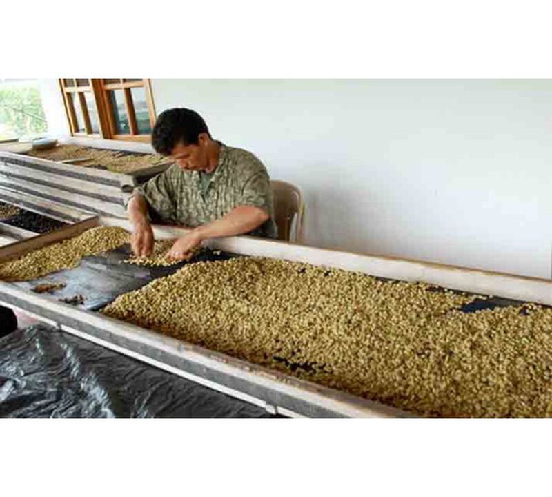 Ground coffee for moka pots: Colombia - Macao - 250g - Caf&eacute;s Lugat image number 3