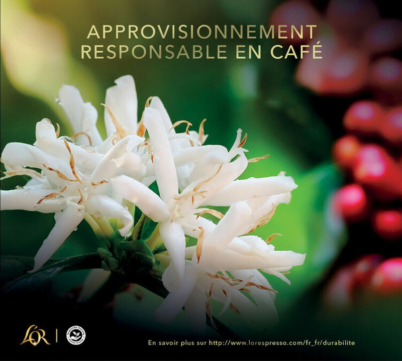 L'Or - Caff&egrave; in grani - Selezione Oro 100% arabica - 1kg image number 1