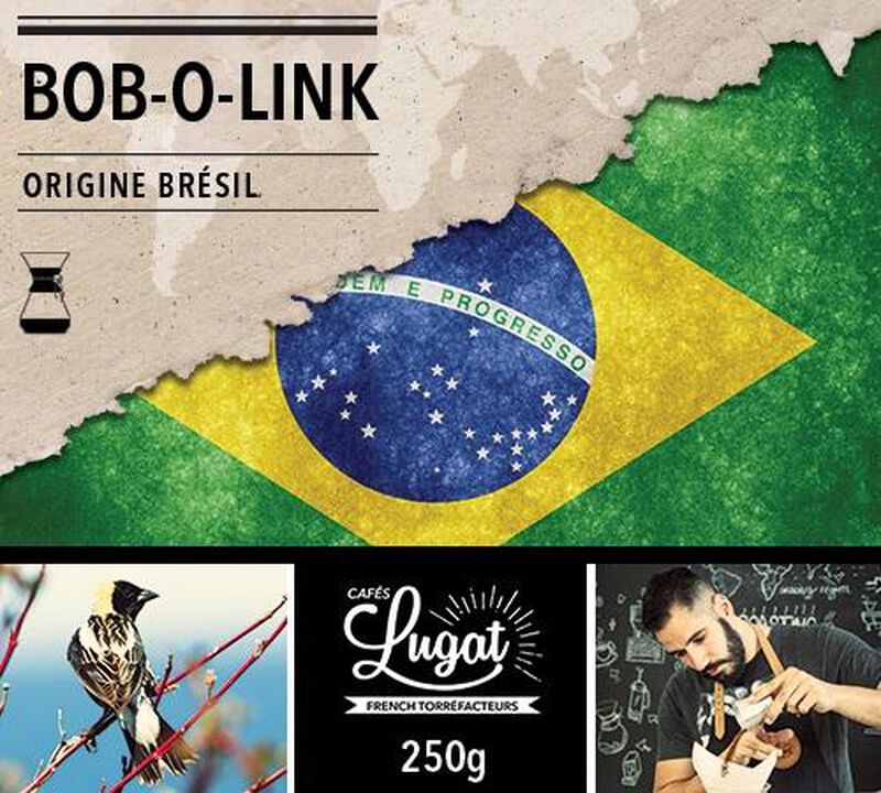 Ground coffee for Hario/Chemex coffee makers : Brazil - Bob-o-link - 250g - Caf&eacute;s Lugat image number 0