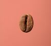 1895 by Lavazza Specialty Coffee Beans El Ronero - 250g image number 2