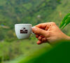 Dosettes ESE - Caravela Brazil Bio - Fairtrade - x40 - LA SEMEUSE image number 1