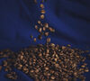 Lugat Espresso Selection Pack Specialty Coffee Beans - 4 x 250g image number 2
