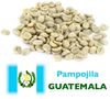 Pampojila raw coffee - Guatemala - Washed - 1kg image number 0