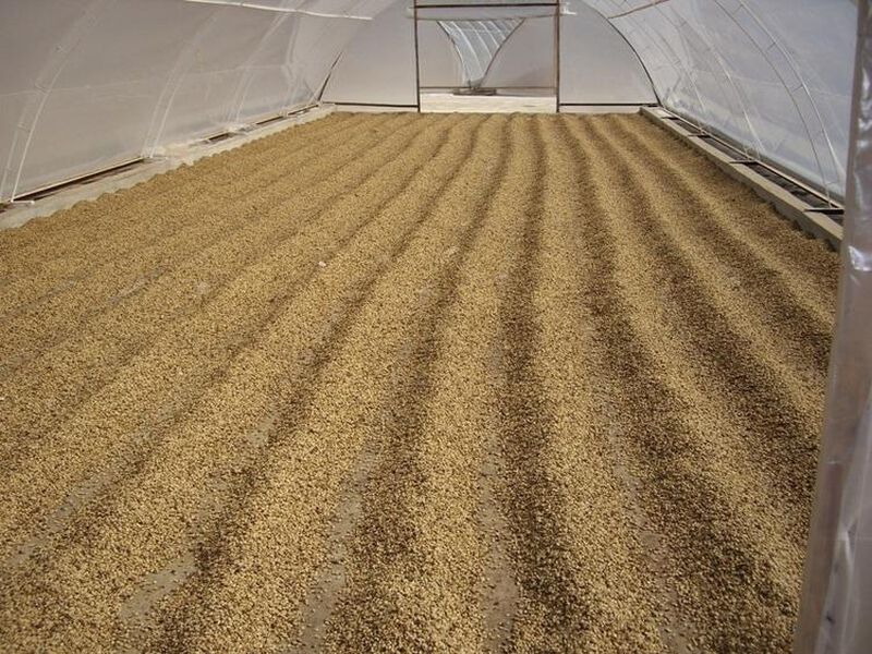 Ground coffee for moka pots: Cuba - Sierra Maestra - 250g - Caf&eacute;s Lugat image number 3