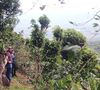 Ground coffee for filter coffee machines: El Salvador - El Naranjo - 250g - Caf&eacute;s Lugat image number 1