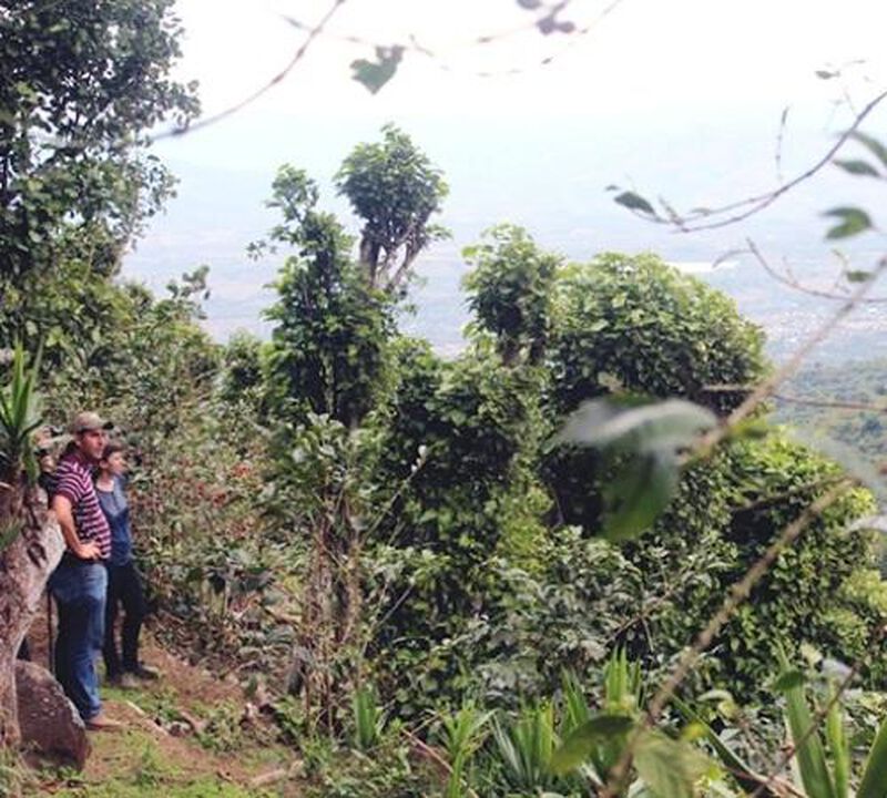 Ground coffee for filter coffee machines: El Salvador - El Naranjo - 250g - Caf&eacute;s Lugat image number 1