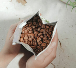 green lion coffee organic coffee beans original