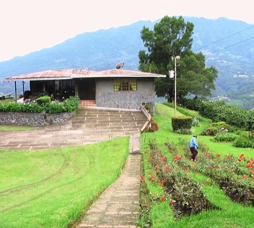 caff&egrave; in grani pure origine colombia 100% arabica