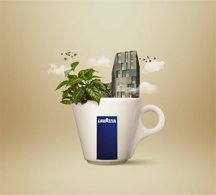 lavazza caffe in grani