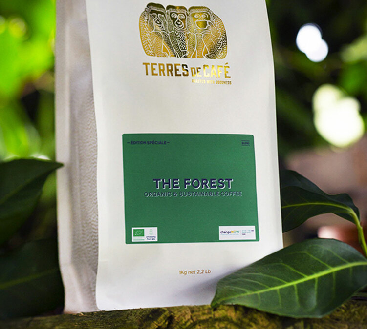 caff&egrave; in grani bio terres de cafe la foresta