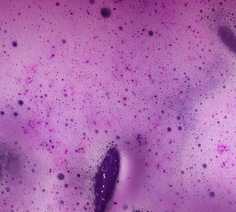 numorning ube latte instant drink