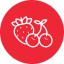 Frutti rossi
