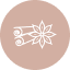 Speziato